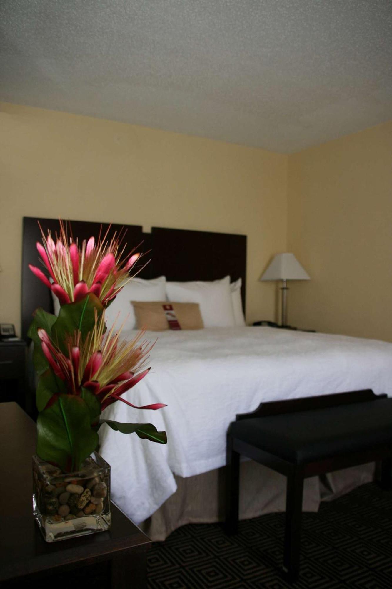 Hampton Inn & Suites Orlando-John Young Parkway/South Park Williamsburg Kültér fotó